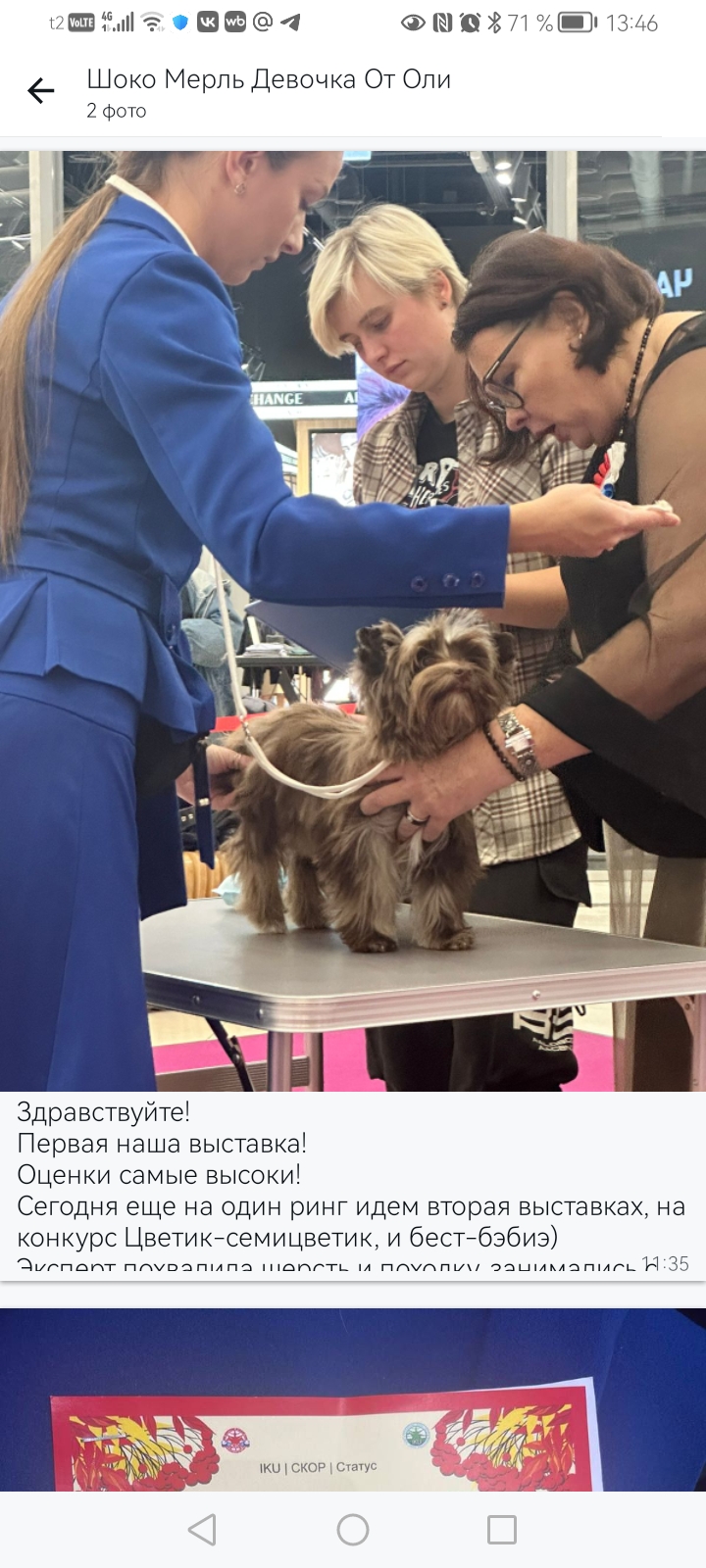 Мия на первой выставке